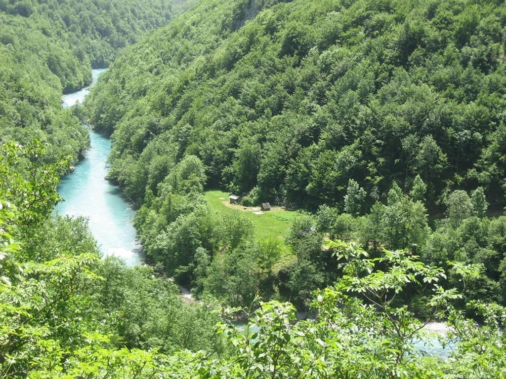 Tara Bridge Castle Hotel Zabljak  Ruang foto