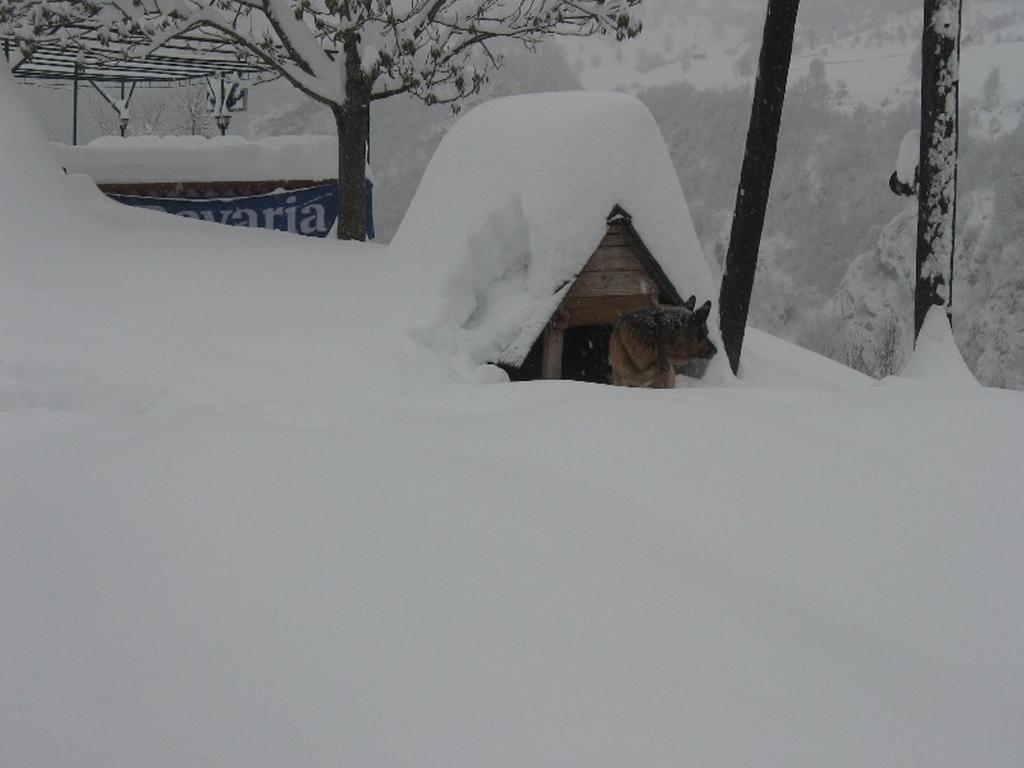 Tara Bridge Castle Hotel Zabljak  Bagian luar foto